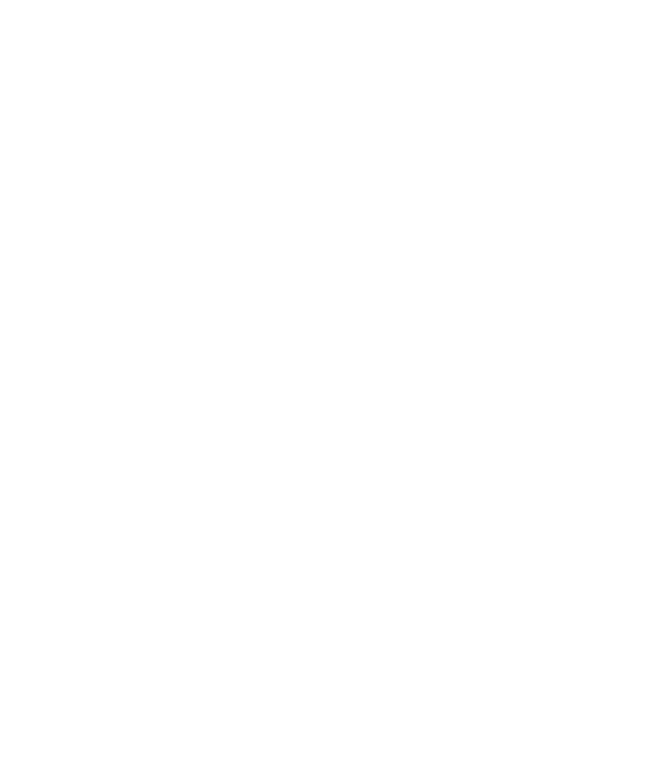 NCAA Final Four